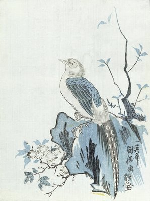Bird on a Rock by Japanese School - print