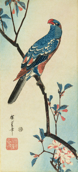 Parrot on a Branch by Ando or Utagawa Hiroshige - print