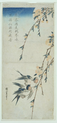Swallows and Peach Blossom in Moonlight by Ando or Utagawa Hiroshige - print