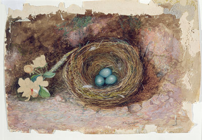 Fine Art Print of Birds Nest, 1863 by John Atkinson Grimshaw