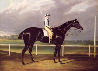 Jerry, Winner of the St. Leger in 1824 by English School - print