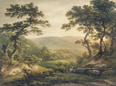 Needlewood Forest, Hampshire by John Glover - print