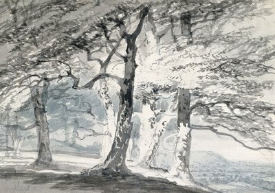 Norbury Park, Surrey by Joseph Mallord William Turner - print