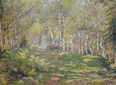 Silver Birches by Adriaan Josef Heymans - print