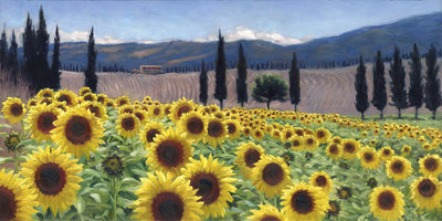 Fine Art Print of Ploughed fields with sunflowers by Meiklejohn Graphics