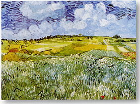 Pianura Vicino Ad Auvers by Vincent Van Gogh - print