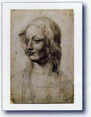 Busto Di Donna by Leonardo - print
