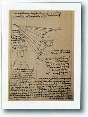 Studio Di Volto Umano by Leonardo - print