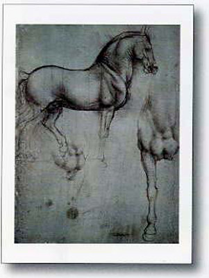 Studio Di Cavalli by Leonardo - print