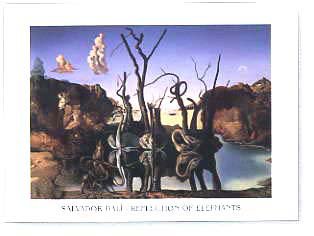 Reflection Of Elephants by Salvador Dali - print