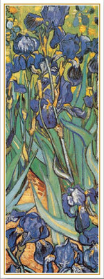 Iris by Vincent Van Gogh - print