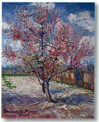 Souvenir de mauve by Vincent Van Gogh - print