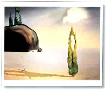 vide by Salvador Dali - print