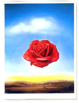 Cheap medative rose print by Salvador Dali