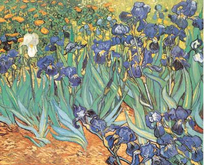 Iris by Vincent Van Gogh - print