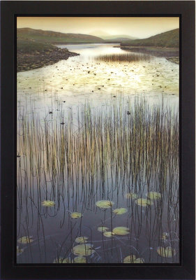 Cheap You Forgot To Leave Me print by William Vanscoy