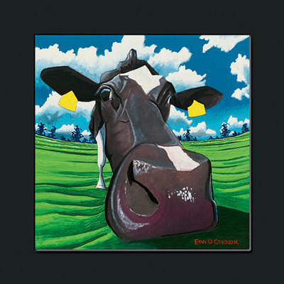 Cheap Cow I - The Sniffer print by Eoin O'Connor