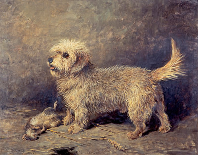 Fine Art Print of Callum by John Emms