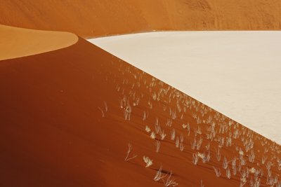 Fine Art Print of Dune by Bernard van Dierendonck