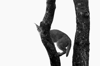 Fine Art Print of Lookout by Ken Dyball