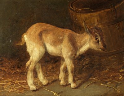 A Kid by H. Desugner - print