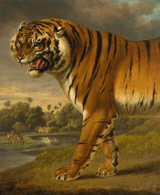 A Tiger, 1818 by Charles Towne - print