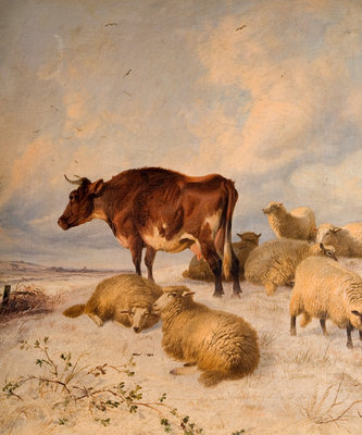 Cows and Sheep in Snowscape, 1864 by Thomas Sydney Cooper - print