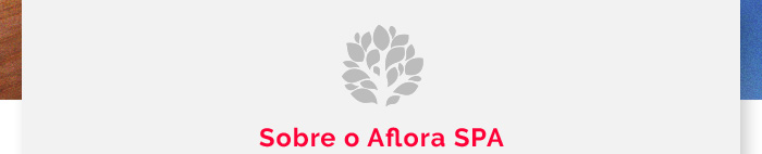 Dia das mães de 11 a 13/05. Reserve o fim de semana de Dia das Mães e ganhe uma massagem no Aflora Spa! a partir de: R$779.50* confira o pacote