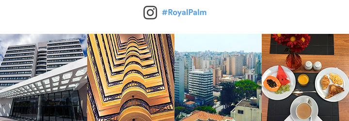 #RoyalPalm