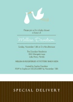 Special Delivery Baby Boy Baby Shower Invitation