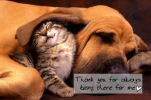 Friendship