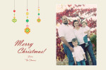 Family Christmas Card