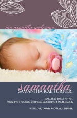 Soft Grays with Palm Leaves (Set) Photo Girl Baby Announcement
