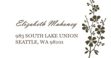 Bold and Beautiful (Set) Address Label