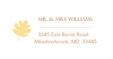 Multi Colored Fall Leaves (Set) Address Label