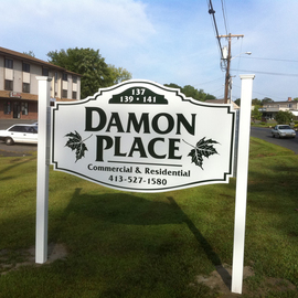 Damon_place