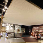 Cosmocaixa
