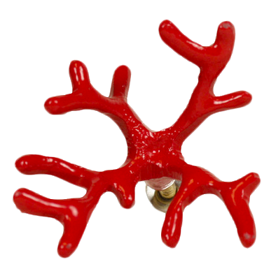 Red-coral-knob