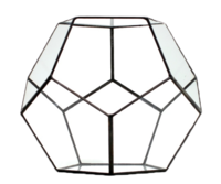 Terrarium
