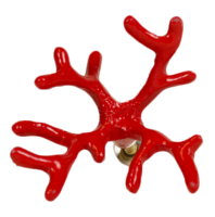 Red-coral-knob