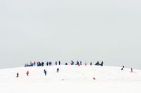 Proportional_1000_3056_largeview