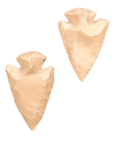 Arrowhead-earrings