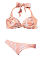 Swimsuit-anthro