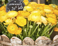 Flowers-etsy