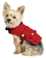 Polo-ralph-lauren