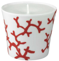 Coral-candle