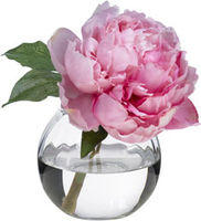 Diane_james_home