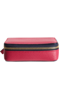 Chameleon-camera-case