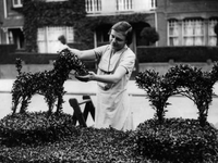 Topiary-pets-art-dot-com