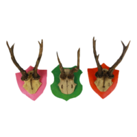 Antlerset-furbish